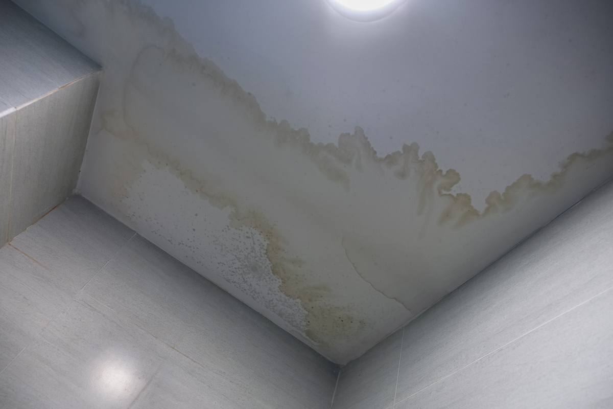 Roof Leak Repair Costs 2025 Dallas, TX Roof Leak Repair Costs 2025 Dallas, TX
