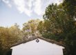 How Trees Can Damage Your Roof