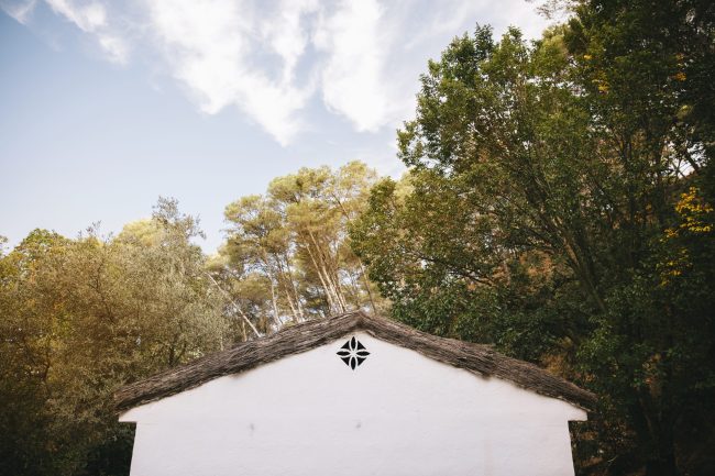 How Trees Can Damage Your Roof How Trees Can Damage Your Roof